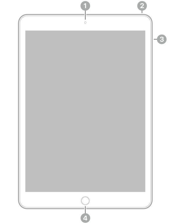 Vista frontal do iPad com chamadas para a câmara fontal na parte superior, ao centro, o botão superior no canto superior direito, os botões de volume à direita e o botão principal/Touch ID na parte inferior, ao centro.