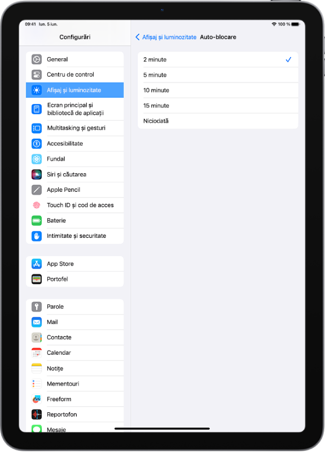 Ecranul Auto-blocare, cu configurări pentru cât timp trebuie să treacă până când iPad‑ul se blochează automat.