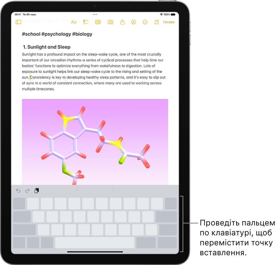 Документ відкрито в програмі «Нотатки». У нижній половині екрана розташована екранна клавіатура в режимі трекпеду.