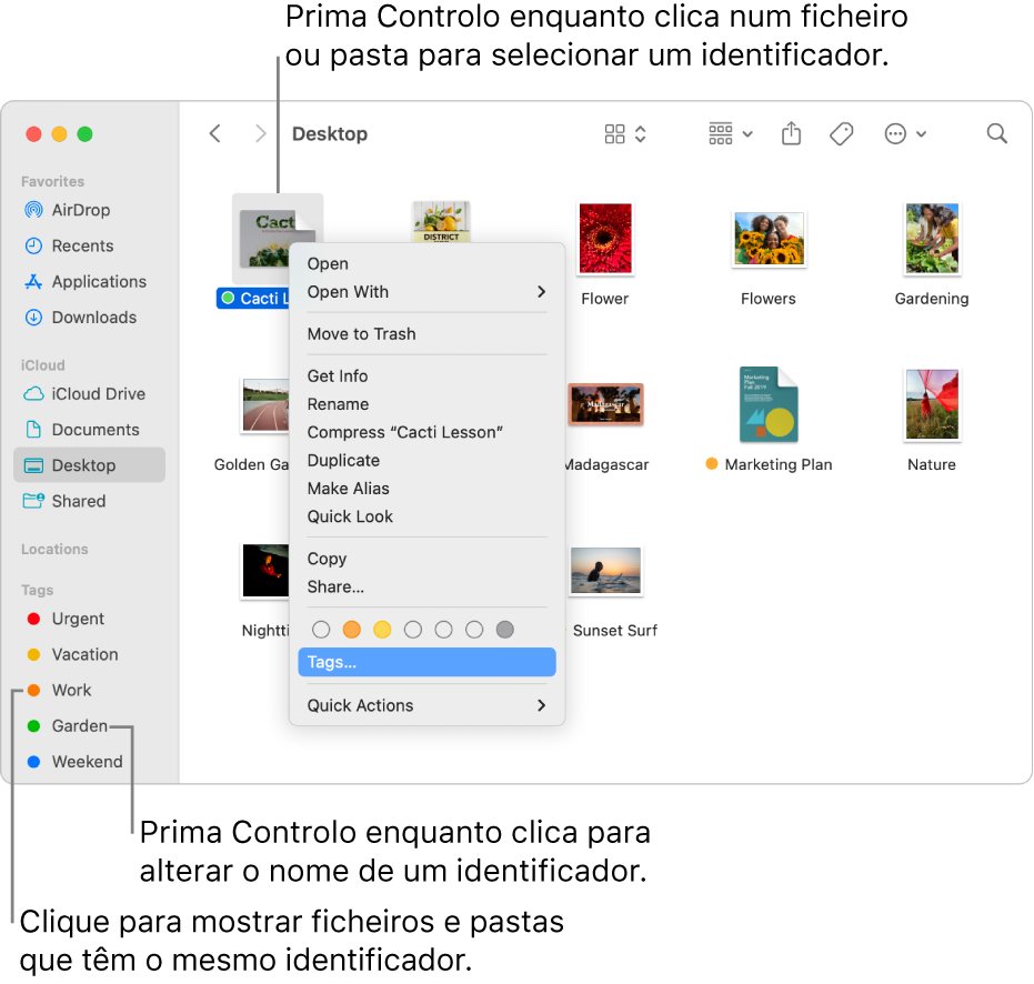 Uma janela do Finder com pastas e ficheiros identificados, com um ficheiro selecionado. No menu de atalhos, há três opções de cores para os identificadores e “Identificadores” está realçado.