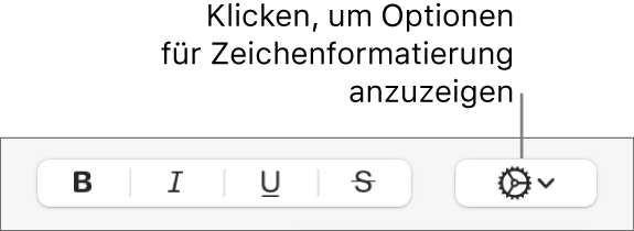 Die Taste „Erweiterte Optionen“ neben den Tasten „Fett“, „Kursiv“ und „Unterstrichen“.