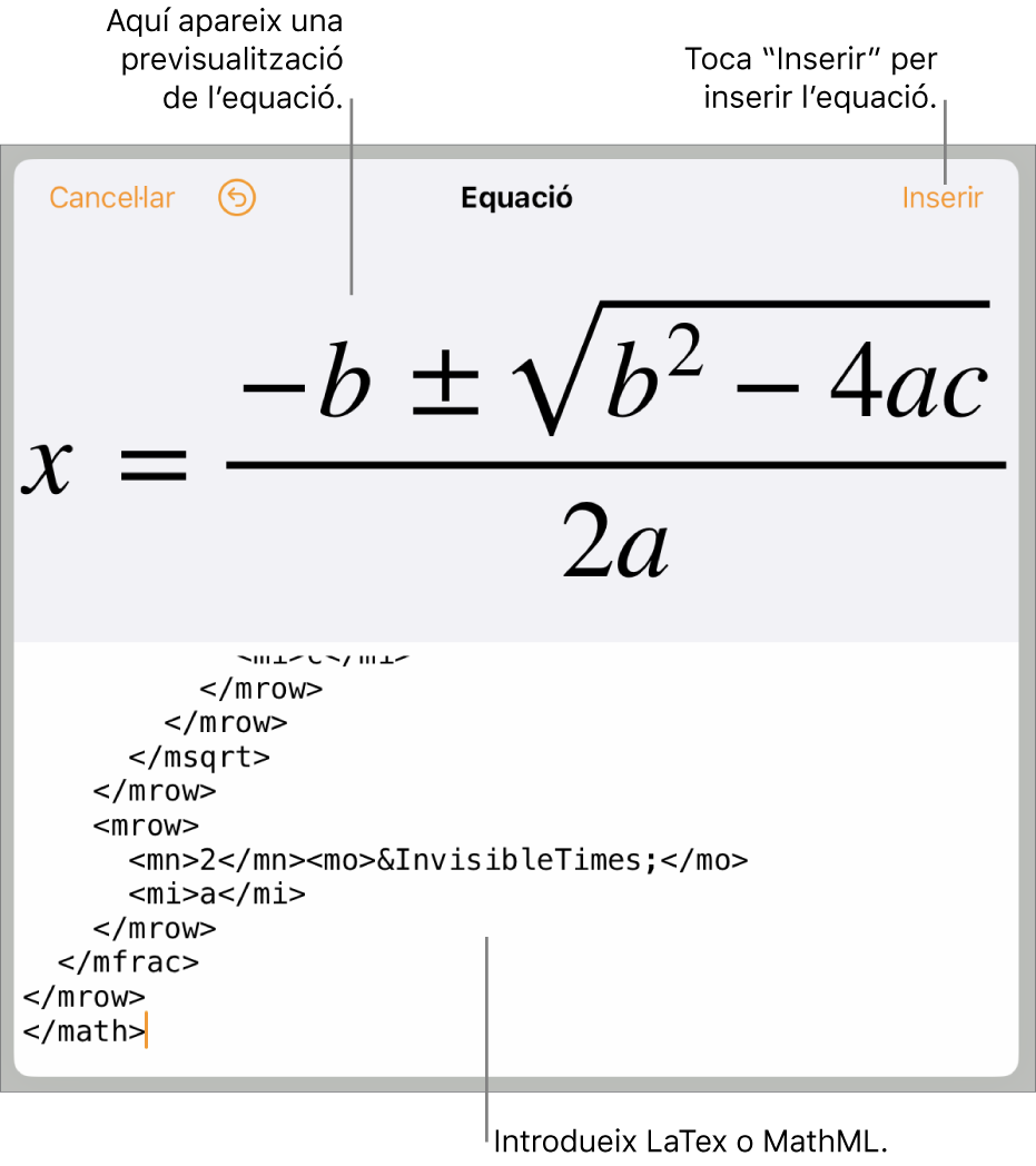 El quadre de diàleg Equació amb una equació escrita amb les ordres MathML i una previsualització de la fórmula al damunt.