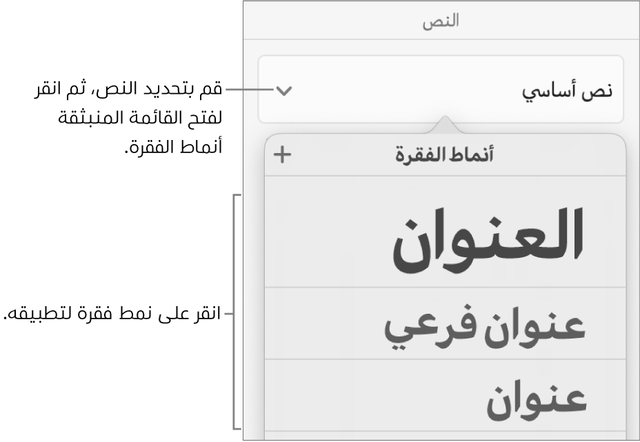 قائمة أنماط الفقرة.