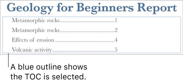 A table of contents inserted into a document. Entries show headings along with their page numbers.