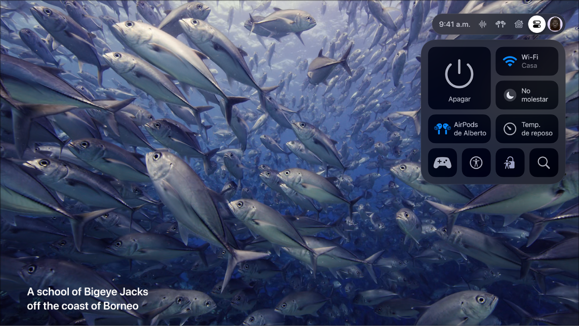 Pantalla del Apple TV mostrando el centro de control.