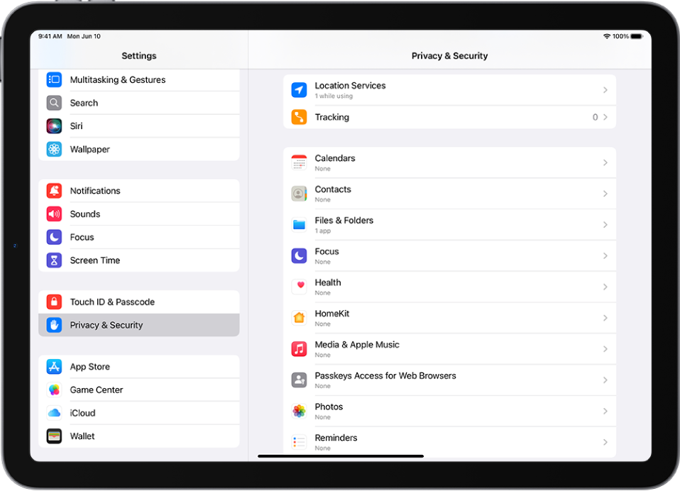 The Privacy & Security screen.