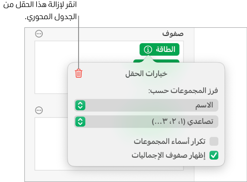 قائمة خيارات الحقل تعرض عناصر التحكم لتجميع البيانات وفرزها، وكذلك خيار إزالة حقل.