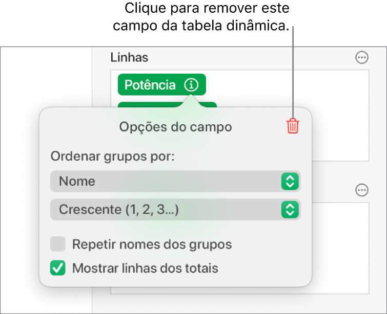 O menu "Opções do campo”, a mostrar os controlos que permitem agrupar e ordenar dados, assim como a opção para remover um campo.