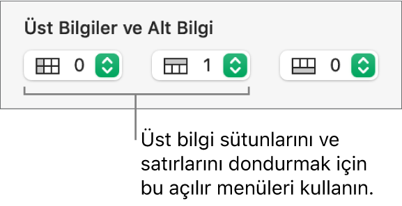 Bir tabloya üst bilgi ve altlık sütunları ve satırları eklemek ve üst bilgi satırlarını ve sütunlarını dondurmak için kullanılan açılır menüler.