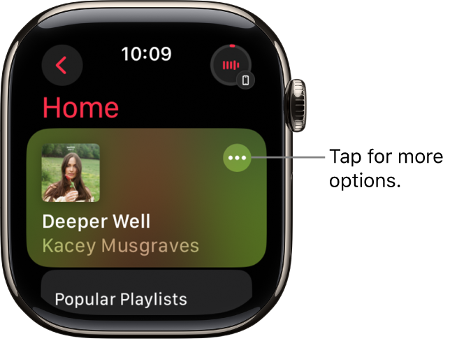 The Music app showing the Home screen with one album showing. A More Options button is to the right. At the top right is the Now Playing button. A Back button is at the top left.