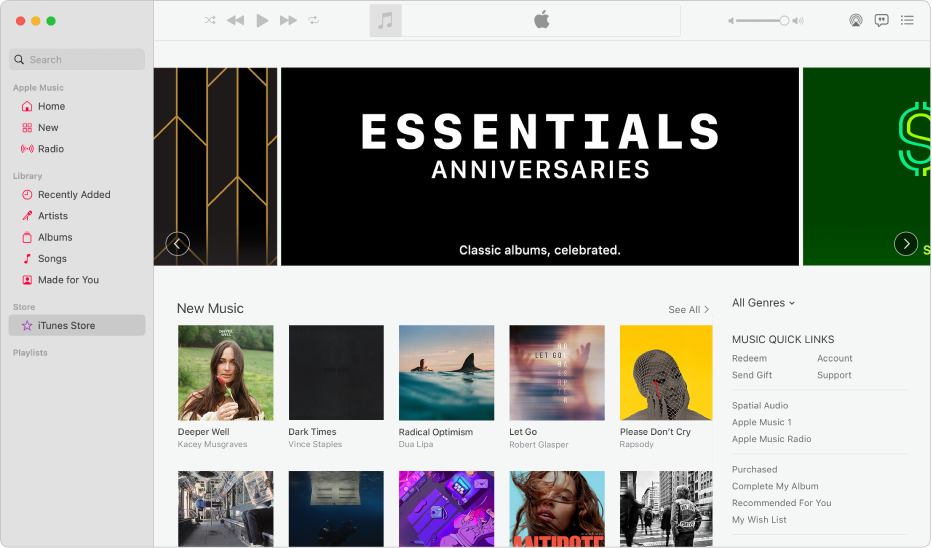 iTunes Store मुख्य विंडो : साइडबार में iTunes Store चिह्नांकित होता है।