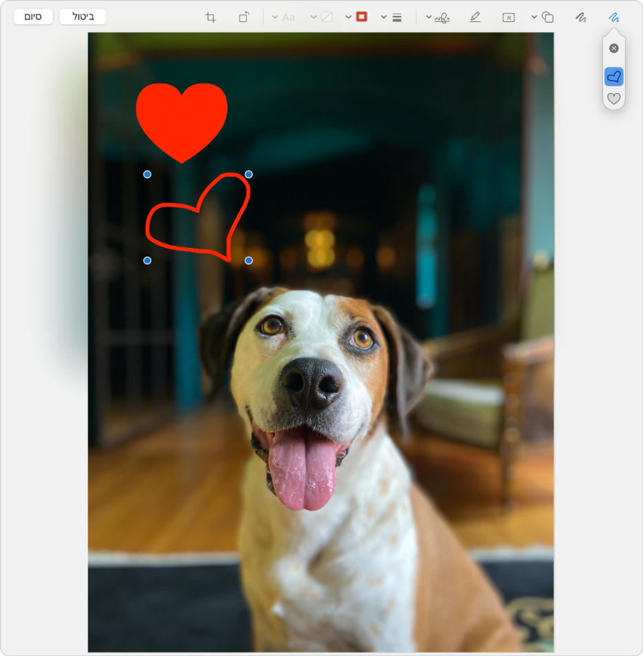 תמונה שצויר עליה לב באמצעות כלי הסימון.