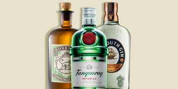 best gin brands