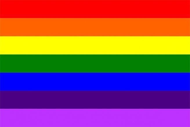 19781999 pride flag