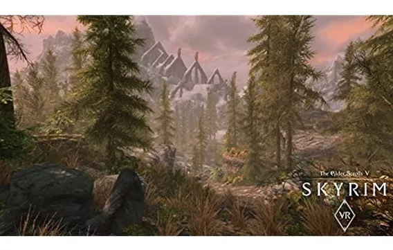 The Elder Scrolls V: Skyrim Vr Ps4