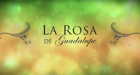 Rosa de Guadalupe