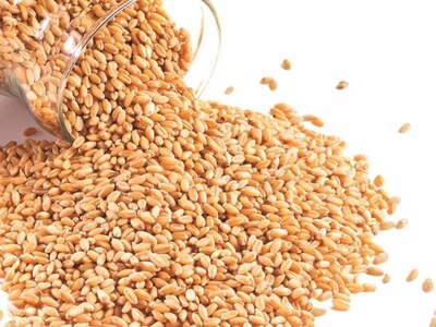 Lahore Grain Market Rates