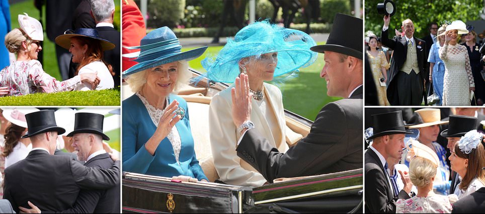 Touching portrait of just how far Prince William and Camilla's relationship has come: