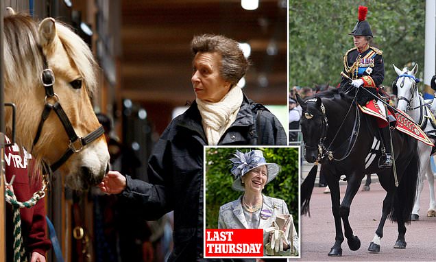 Princess Anne, 73, 'is unable to recall exactly what happened' as she recovers after a