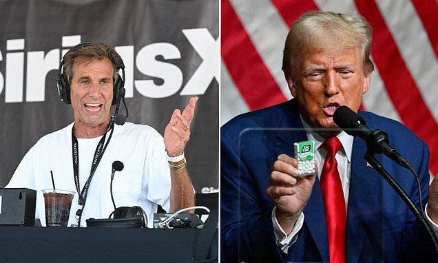 Chris 'Mad Dog' Russo slammed as a 'village idiot' by fans for bold opinion on Donald