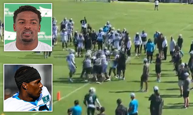 New York Jets and Carolina Panthers players become latest to BRAWL during a heated NFL