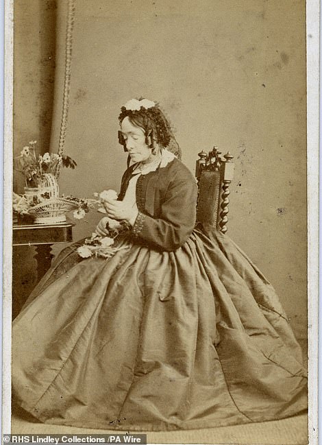 A picture of the Botanist Anne Pratt who was one of the best known in Victorian England