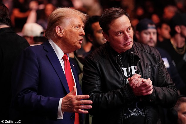 Trump and Musk pictured during UFC 309 at Madison Square Garden in NYC Saturday