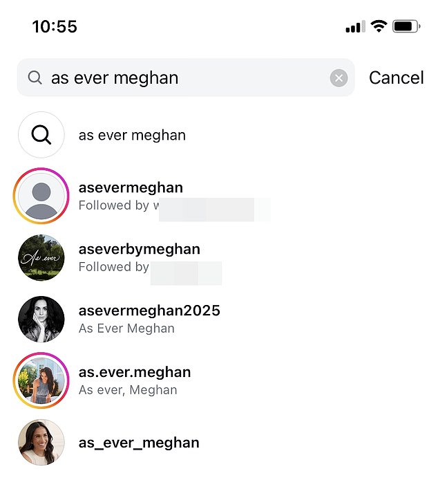 Other variations of the phrase such as @AsEverMeghan, @As.Ever.Meghan and @AsEverMeghan2025 appear to be fan accounts for the Duchess