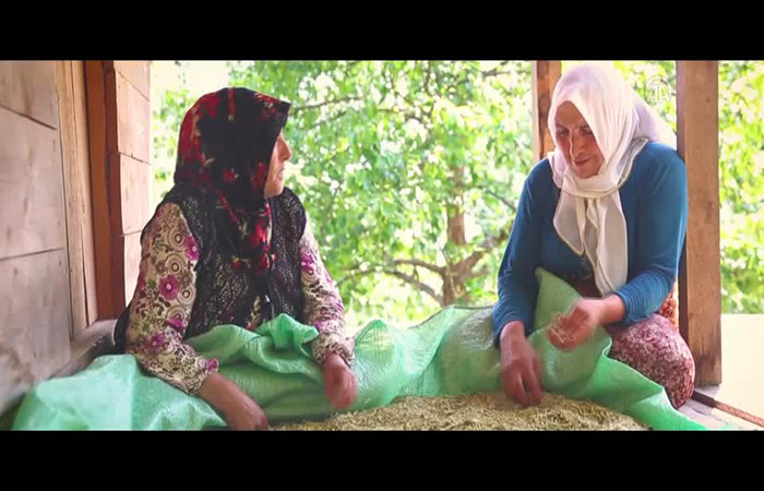 Kanserde erken teşhisin önemi 'kuşdili' ile vurgulandı