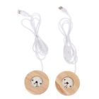 Rechargeable Light Base Art Ornament Remote Control Display Stand LED Wooden