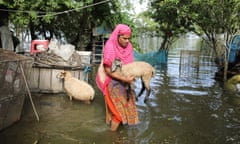 A woman takes their cattle to safe places as flood water increases in the coastal area in Khulna, Bangladesh on August 15, 2022. Due to climate change, again rising tides collapsing the embankments of coastal areas of Bangladesh, flooded and saltwater entering the locality damaging crops, and fish and hampered livelihood. (Photo by Zakir Hossain Chowdhury/Anadolu Agency via Getty Images)