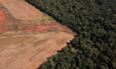 The Cerrado in central Brazil