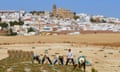 Picking the white Pedro Ximenez grapes in Montilla, southern Spain. . 
Pedro Ximenez, Montilla 
Pedro Ximenez, Montilla