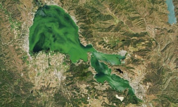 Satellite image of crooked green shape amid brown hills.