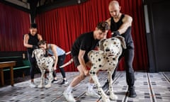 Dog day afternoon … Yana Penrose, Emma Lucia, Danny Collins and Ben Thompson bring Perdi and Pongo to life.