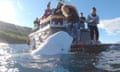 Hvaldimir the beluga whale looking at people on a boat