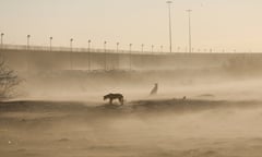 Dogs are seen near the border wall, on the border between Mexico and US, during a winter storm, in Ciudad Juarez