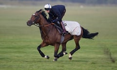 Newmarket Races