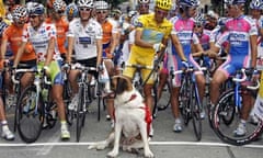 Alberto Contador and his Saint Bernard