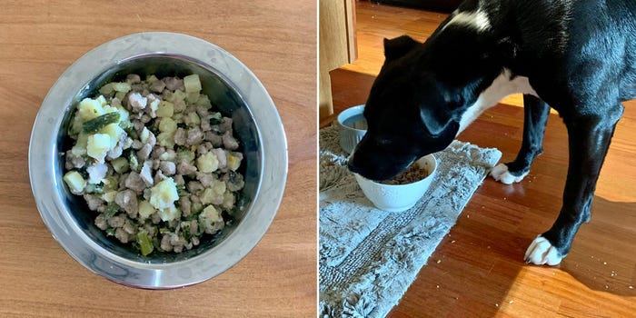 A bowl of fresh dog food beside an image of dog eating from the bowl.