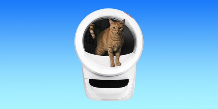 A gold cat is standing inside of a white Whisker Litter-Robot 4 litter box on a blue gradient background.