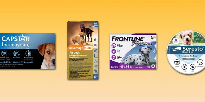 Packages of dog flea treatments from Capstar, Advantage, Frontline, and Serestp are on a yellow background.