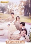 Chinese Healthy relationship dramas
