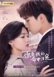 Chinese dramas/Movies I've seen