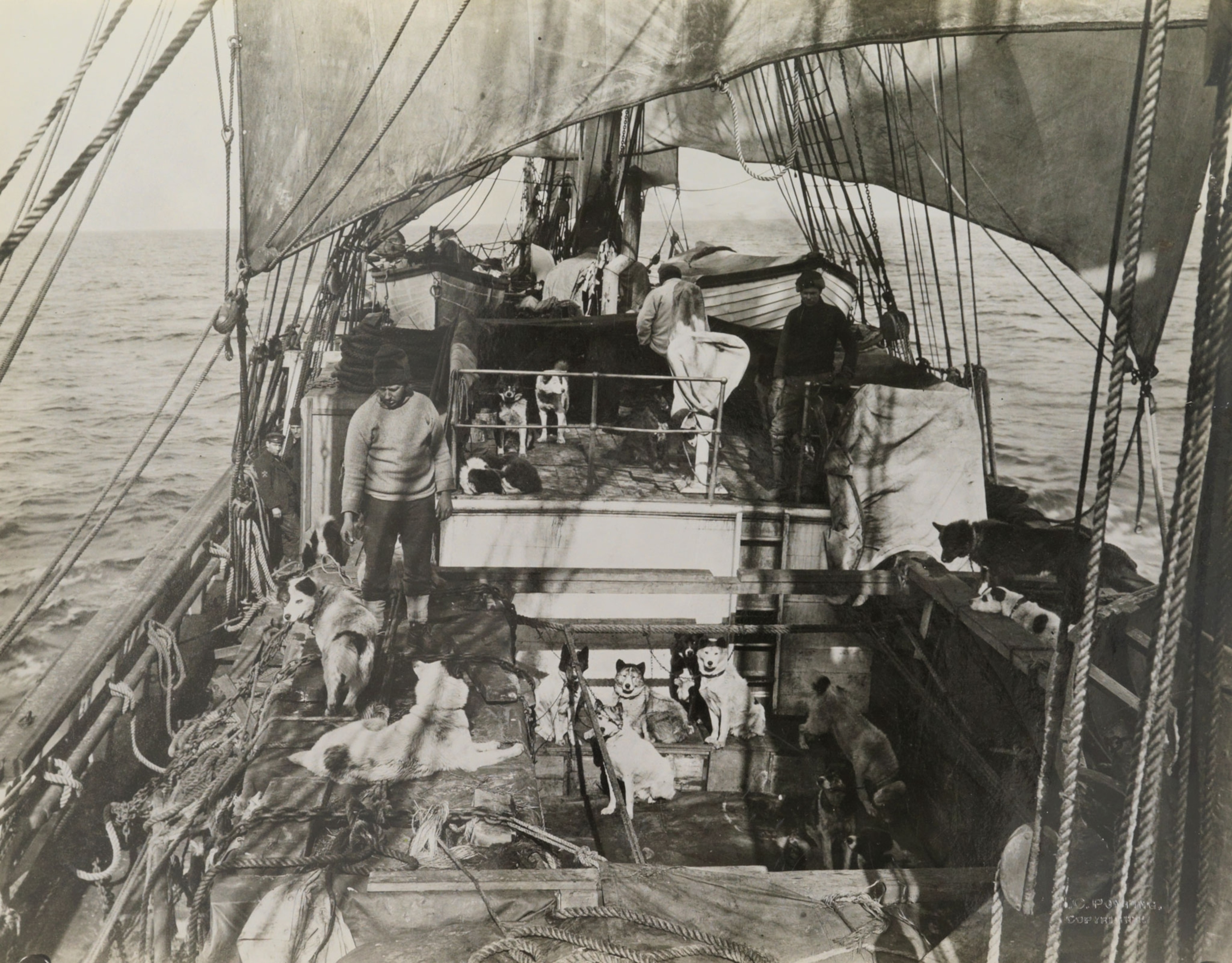 the Scott polar expedition aboard the Terra Nova