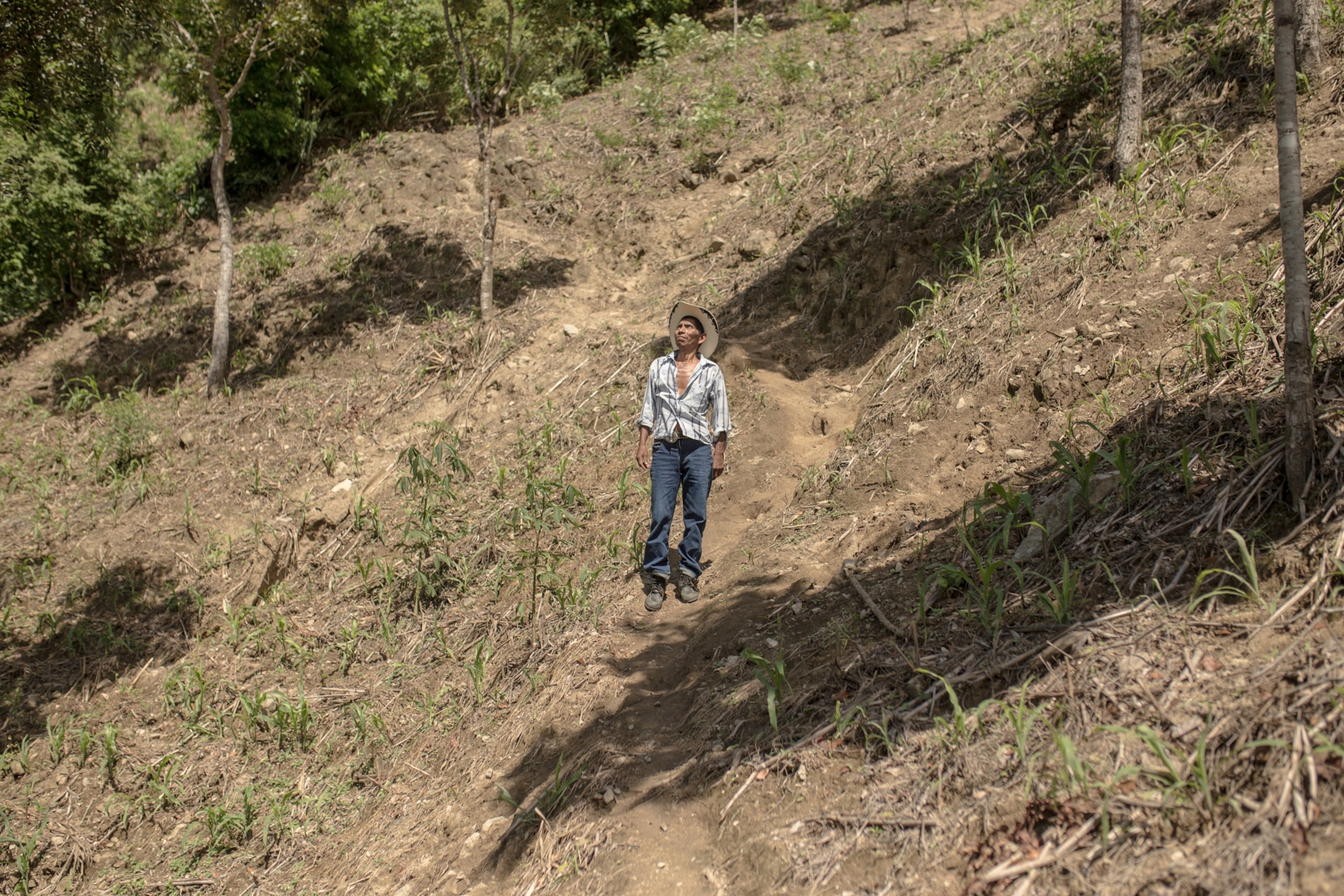 a subsistence farmer