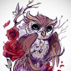 Rose Owl