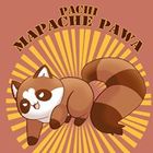 Pachi Mapache