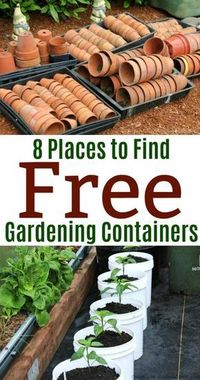 Looking to start some little seedlings indoors but not really wanting to shell out your cold hard cash for containers? Never fear. Mavis’ freebie suggestions are here! There really are so many awesome places to choose from when looking for free garden containers to plant seeds in. I’ll also toss some free containers I get …