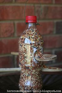 Recycled Pop/soda Bottle Bird Feeder